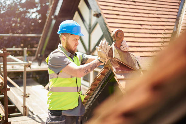 Best Roof Gutter Cleaning  in Desert Palms, CA